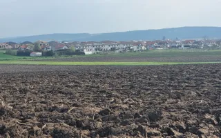 TEREN DE VÂNZARE ȘURA MICĂ 10.000 MP | 2 FRONTURI STRADALE, INVESTIȚIE - Poză 11