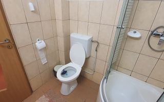 Garsonieră complet utilată – Alexandru cel Bun-44.900 € - Poză 10