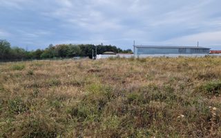 Vanzare teren intravilan, Smeura - Poză 1