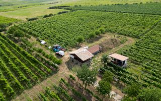 Vie Tradițională „Halta Lupilor” - Poză 23