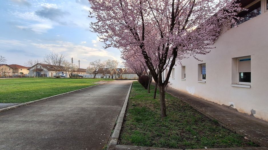 HALE de inchiriat - productie/depozitare/birouri - Poză 29