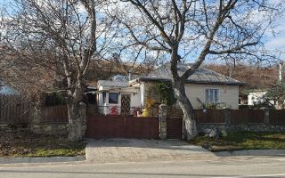 Casă cu teren în Deleni, Iași - Stradă principală - Poză 2