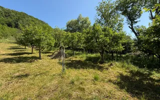 Vanzare casa cu 4 camere+anexe într-o zonă de poveste – Bezdead - Poză 19