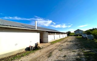 Ferma de vanzare cu 550MP utili si 27.500MP teren la asfalt - Poză 4