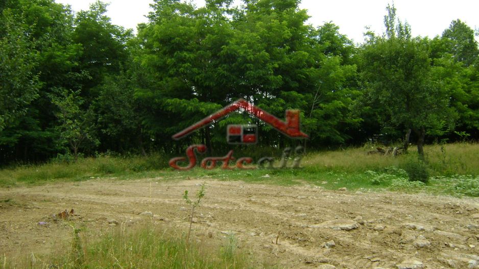 Teren de vanzare Cornu 3074 mp - Poză 6