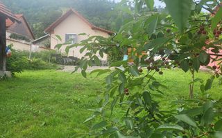 Casa saseasca renovata, cu sura - Seica Mare, Sibiu - Poză 10