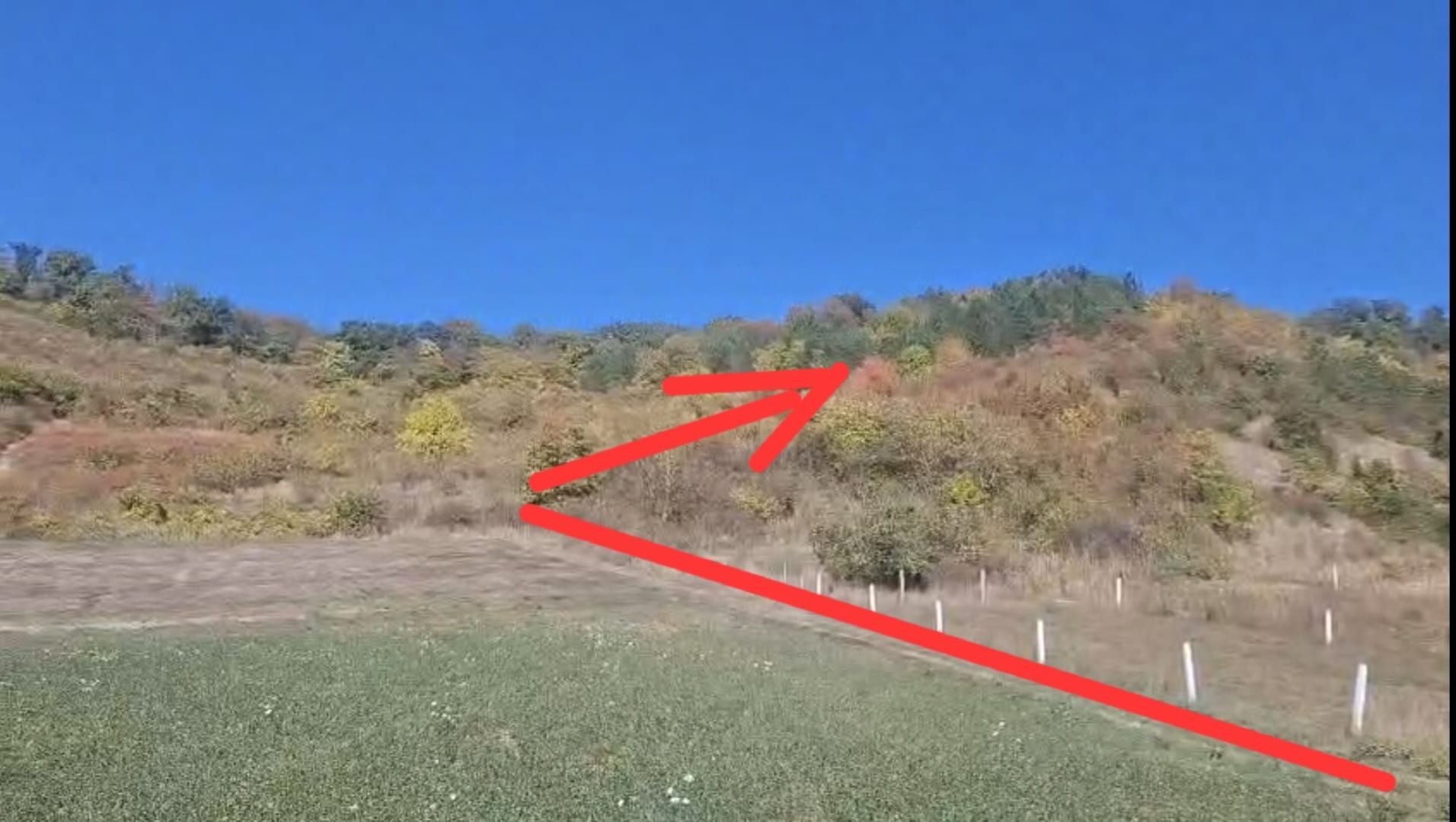 Teren de vanzare in Corunca –5.000 mp /55.000 EUR - Poză 1