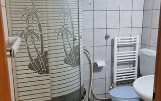 Garsonieră | Parter | Posibilitate de extindere | Ștefan cel Mare - Poză 5