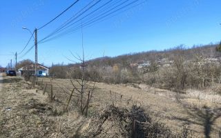 Teren Rusenii Vechi, com. Holboca - Poză 4