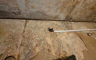 Apartament 3 camere Creiului et 4 - Poză 4