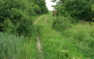 Teren Buftea cu iesire la lac - Poză 30