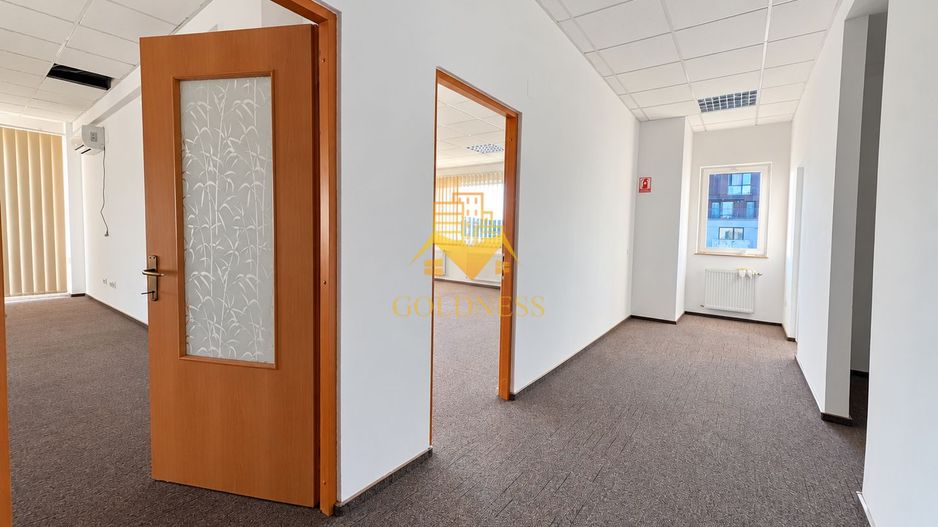 Birouri/Activitati medicale, 950mp, Parcari, Manastur, Frunzisului - Poză 10