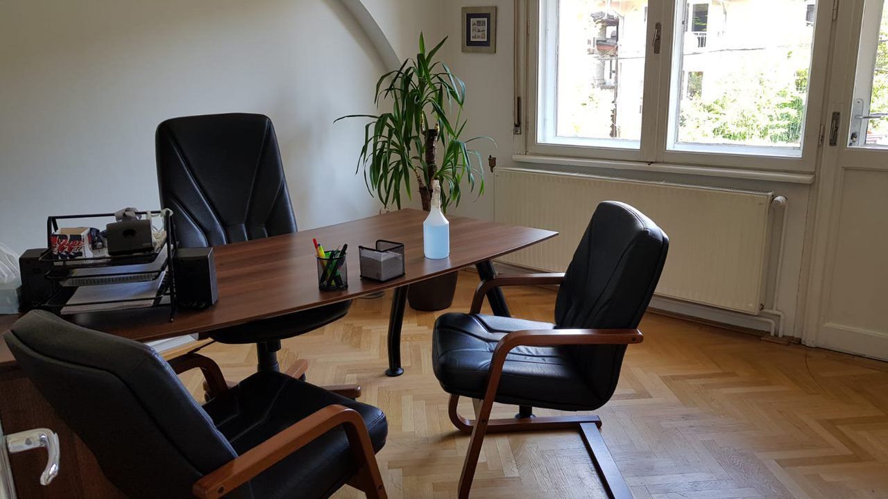 Cotroceni-Romniceanu  Vila/Casa eleganta - Poză 10