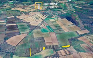 Terenuri agricole de vânzare în Arad – Comuna Tăuț - Poză 3