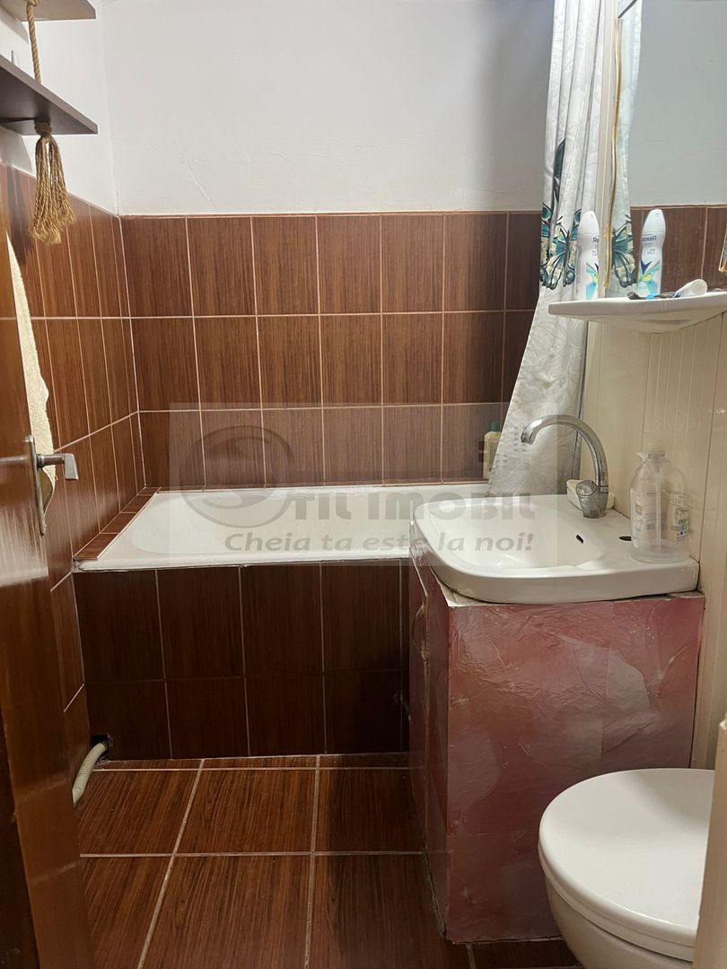 Apartament 1 camera Piata Unirii - 350 EURO - Poză 10