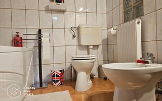 Vila individuala, centrala situata intre Dudesti si Dristor, 5 camere - Poză 13