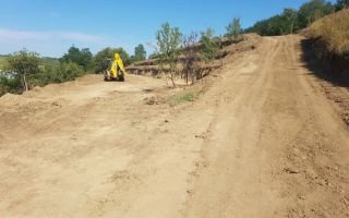 Teren Intravilan | 3.700 mp | Sura MAre - Poză 3