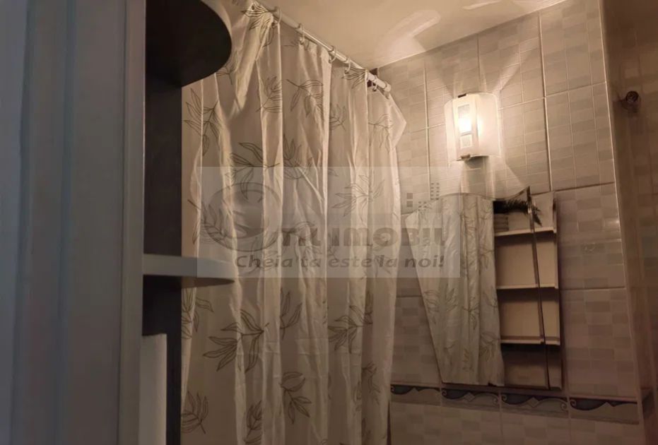 Apartament 2 camere - Zona Piața Nicolina - 400 Euro - Poză 8