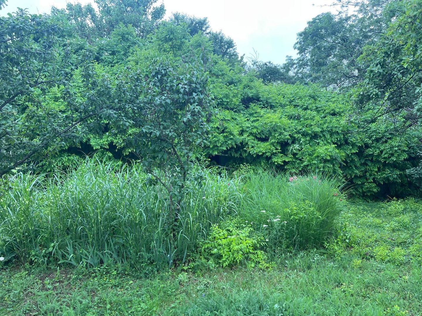 Teren cu deschidere la lac I Snagov - Poză 21