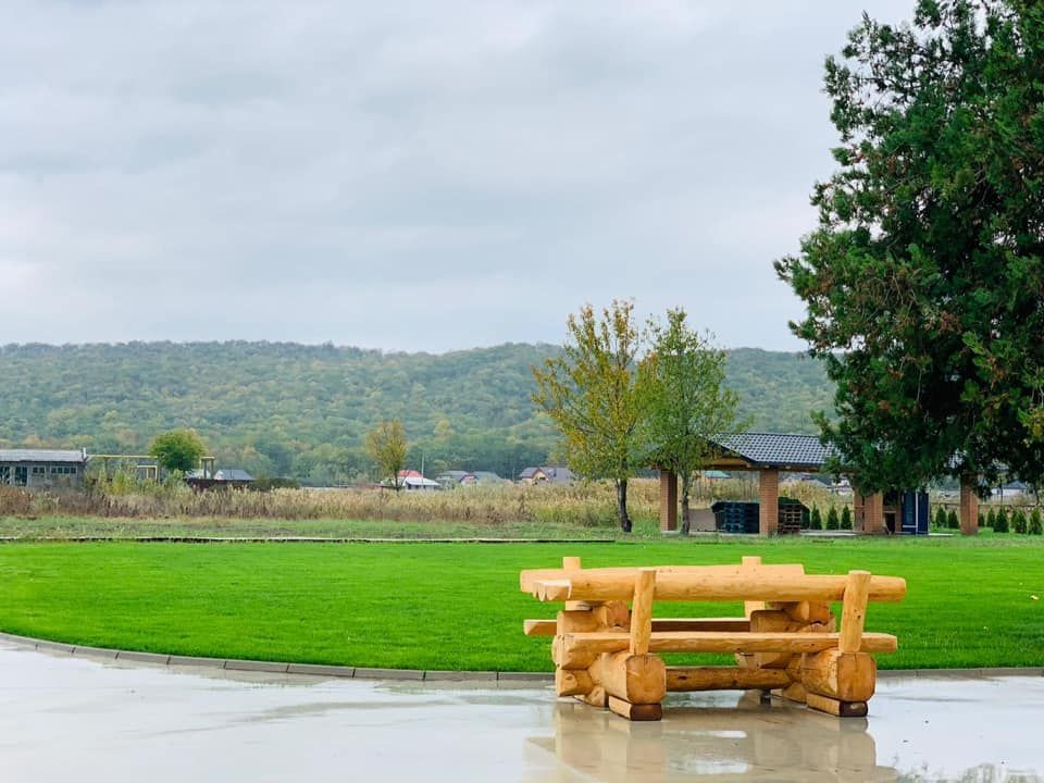 INVESTIȚIE - Complex agrement, teren 23.000 mp, VASLUI - IASI; - Poză 8