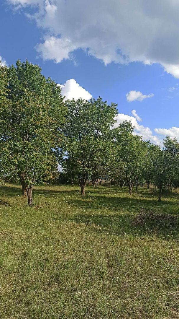 Tren si casa de vacanta in Panticeu - Poză 4