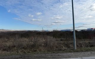 Teren intravilan industrial – 5.755 mp | Bonțida - Poză 6