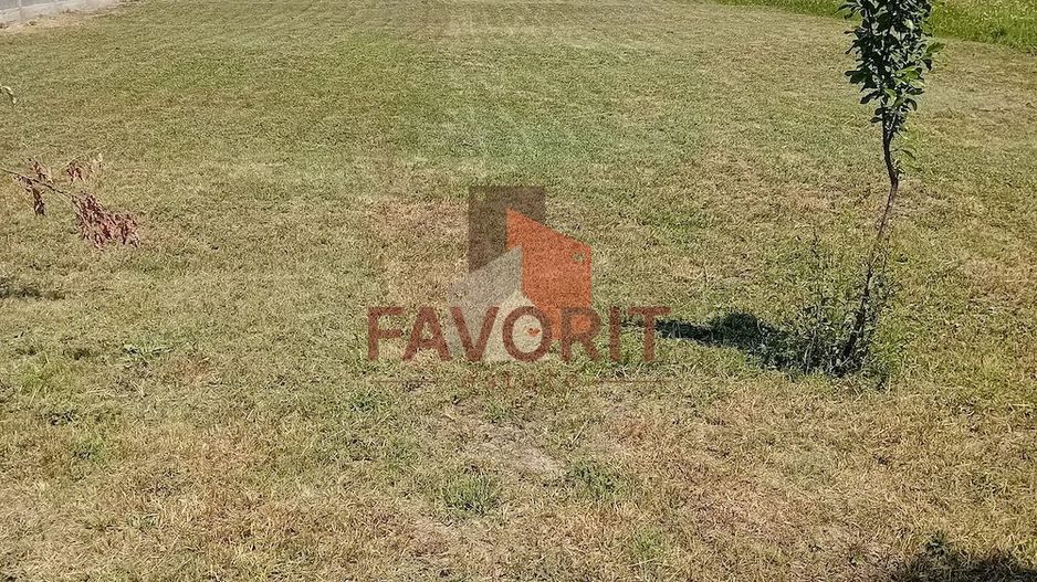Teren intravilan | 750 mp | Rudicica - Poză 2