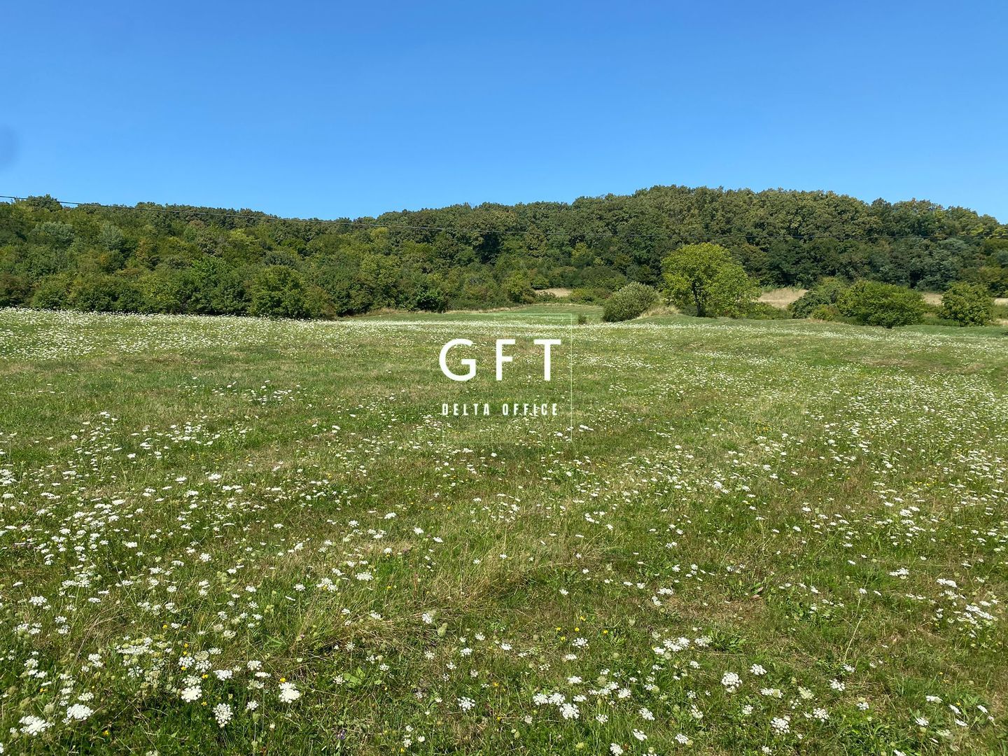 Teren Extravilan 11.000mp-Unirea-Valea Slatinitei - Poză 3