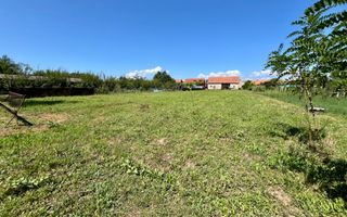 Teren Împrejmuit, 3514mp, Asfalt, Ciugud - Poză 2