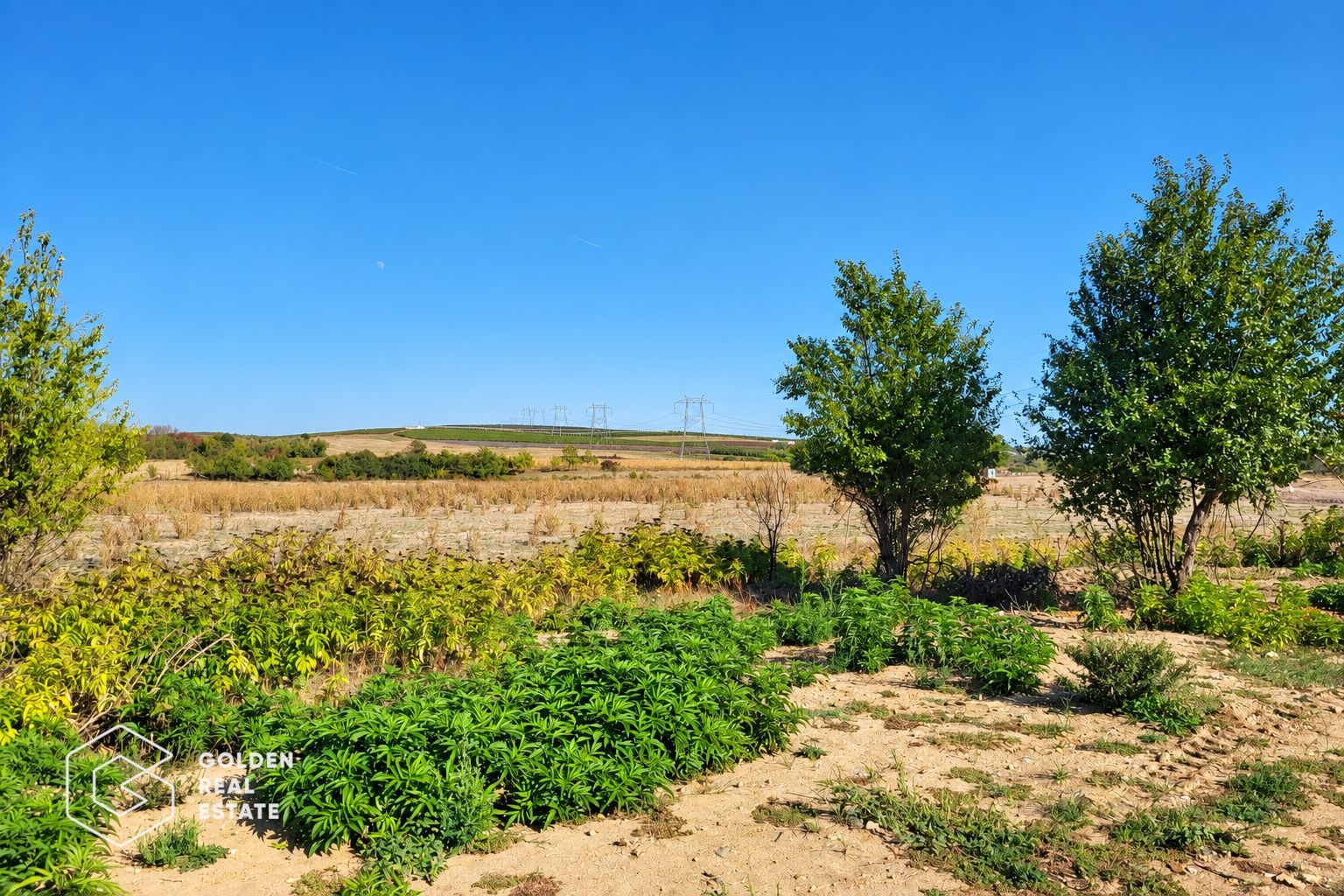 Teren intravilan, 7100 mp, Lipova - Poză 5