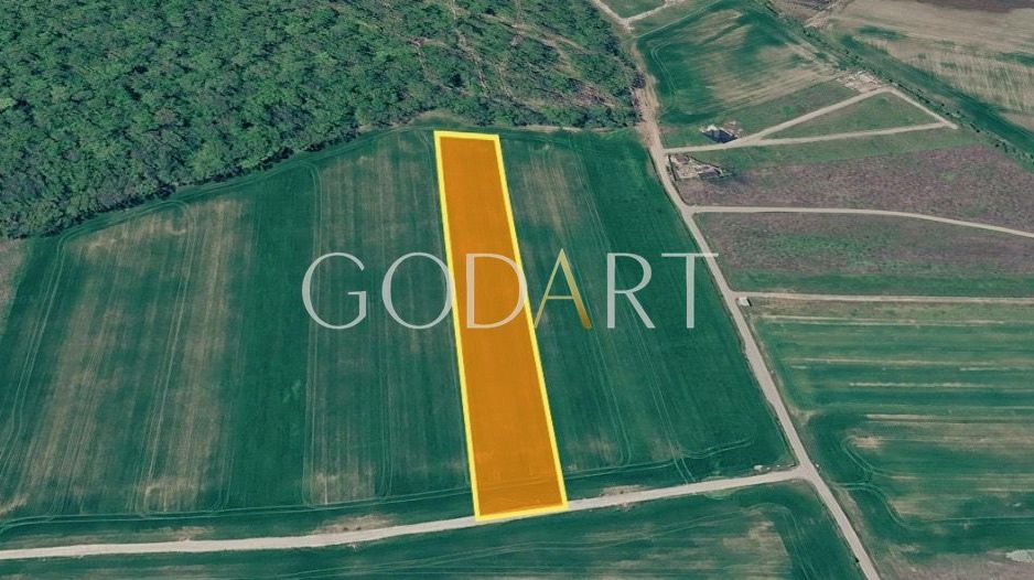 Teren 10.000 mp în Ciolpani | Deschidere la șosea | Pădurea Snagov - Poză 1