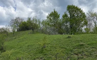 Teren intravilan 2440mp cu autorizație de construire și proiect ! - Poză 15