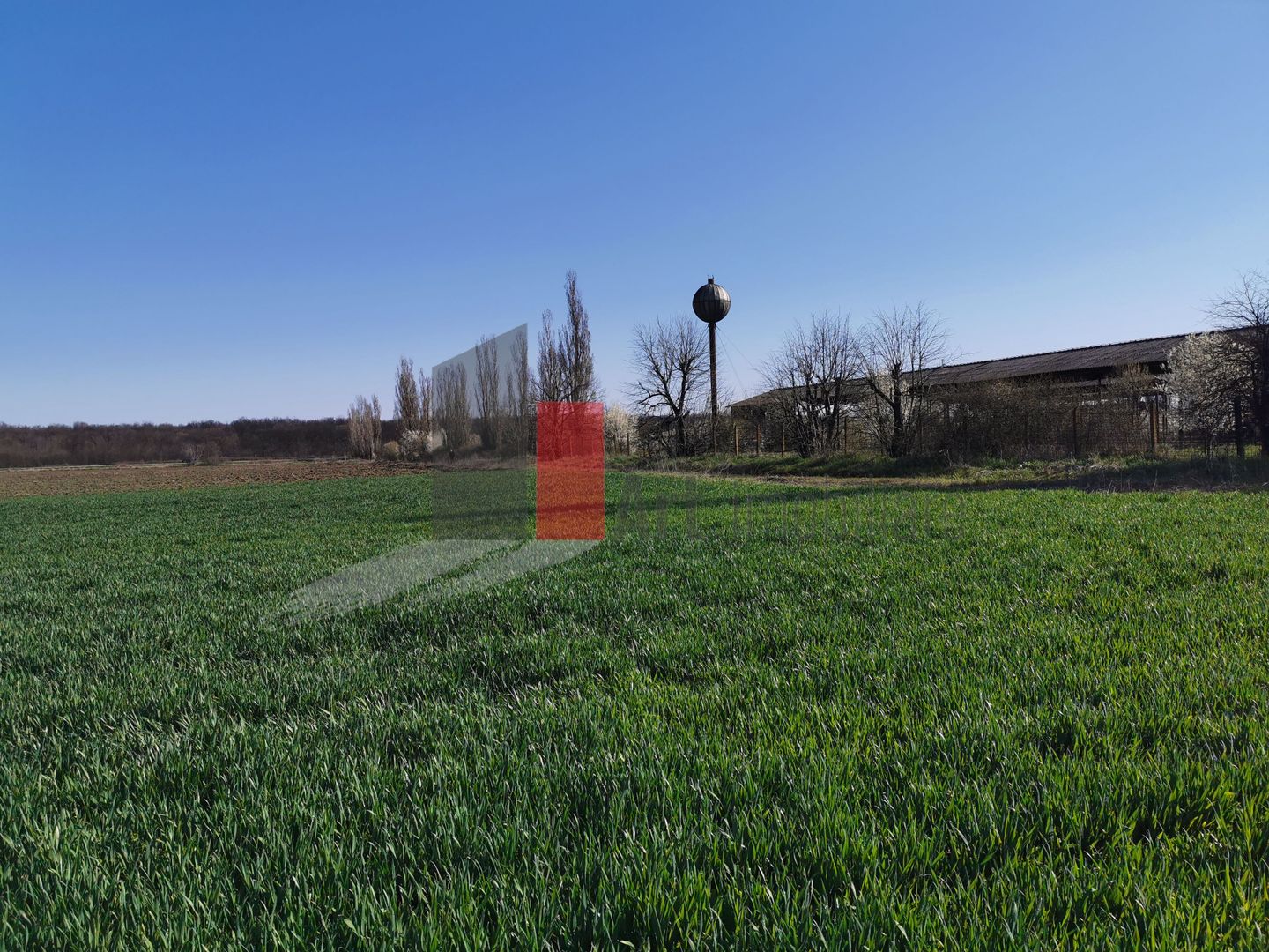 Teren in apropiere de Autostrada Bucuresti Ploiesti - Poză 2