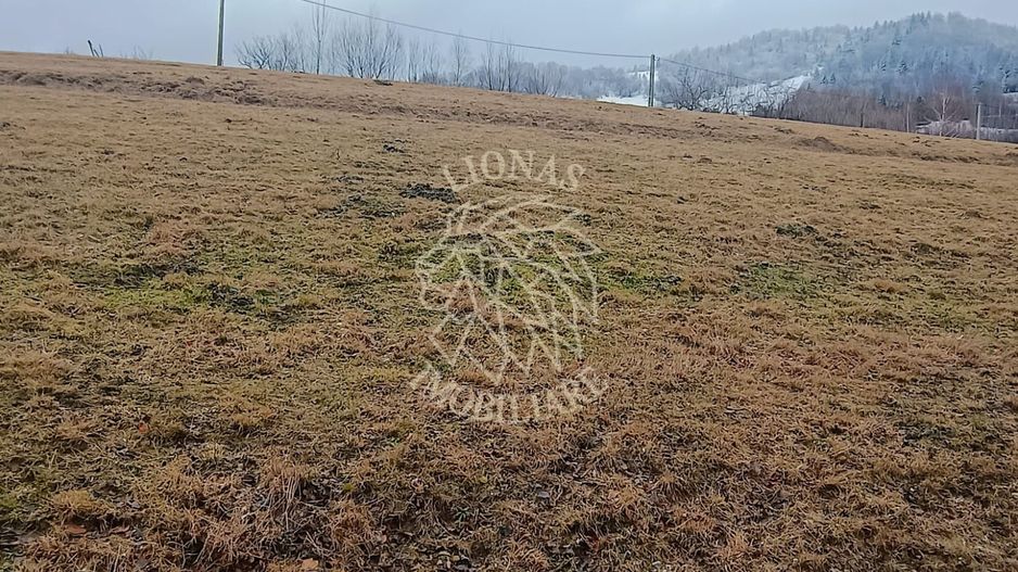 COMISION 0 TEREN TURISTIC EXTRAVILAN APROAPE DE PADURE VISAGU VLADEASA CLUJ - Poză 3