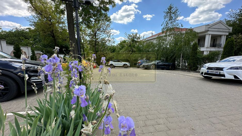 Apartament 2 camere bloc boutique Restaurant Little Texas - Poză 25