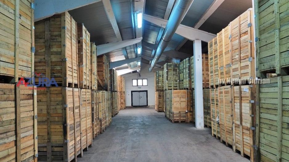 COMISION 0% - HALE Calinesti Arges - Poză 3