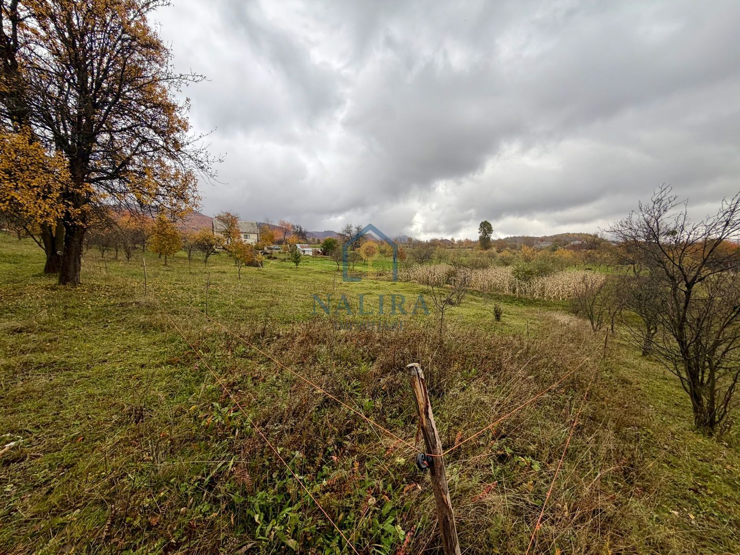 Teren Negreia - Poză 2