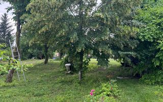 Teren cu deschidere la lac I Snagov - Poză 19