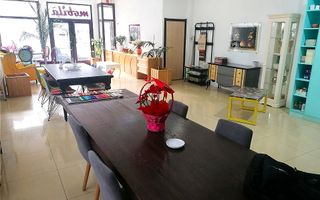 INEL II (COD10) - Spatiu comercial de inchiriat - Poză 10