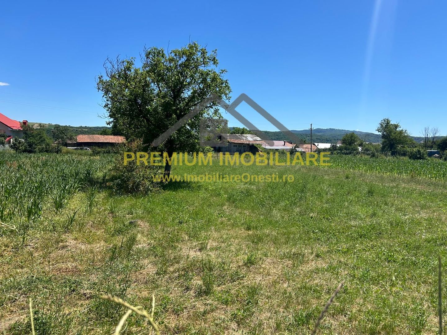 Teren intravilan de vânzare – Cașin, județul Bacău - Poză 1