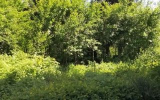 Casă cu teren și posibilitate de mansardare – Gheorgheni - Poză 1