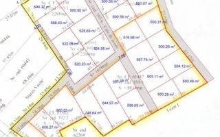 Teren intravilan de vanzare in Vladiceni, Comuna Tomesti - 2 ha - Poză 2