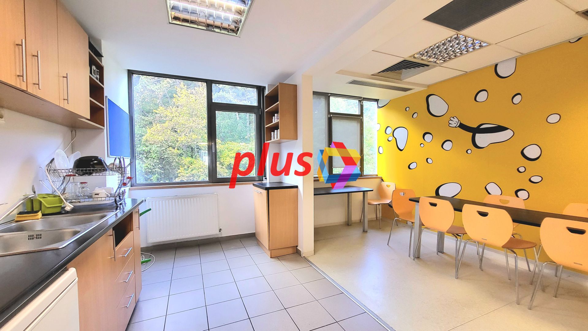 Spatiu de birouri - 740 mp # Plus-imo.ro - Poză 8