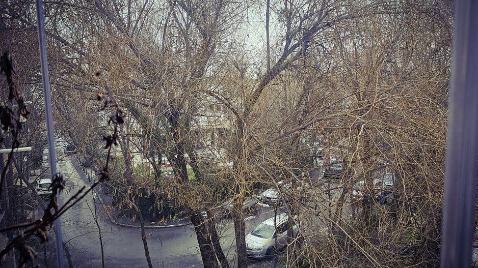 Apartament 3 camere Herastrau parc - Poză 12