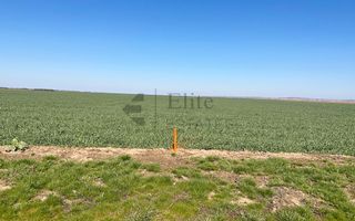 Teren 20.141 mp de vanzare in zona Aeroportului Oradea - Poză 7