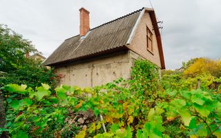 Lot pomicol de 6 ari în Ialoveni, cu construcție auxiliară. - Poză 13