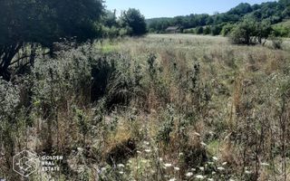 Terenuri 3699 mp, oras Lipova - Poză 3