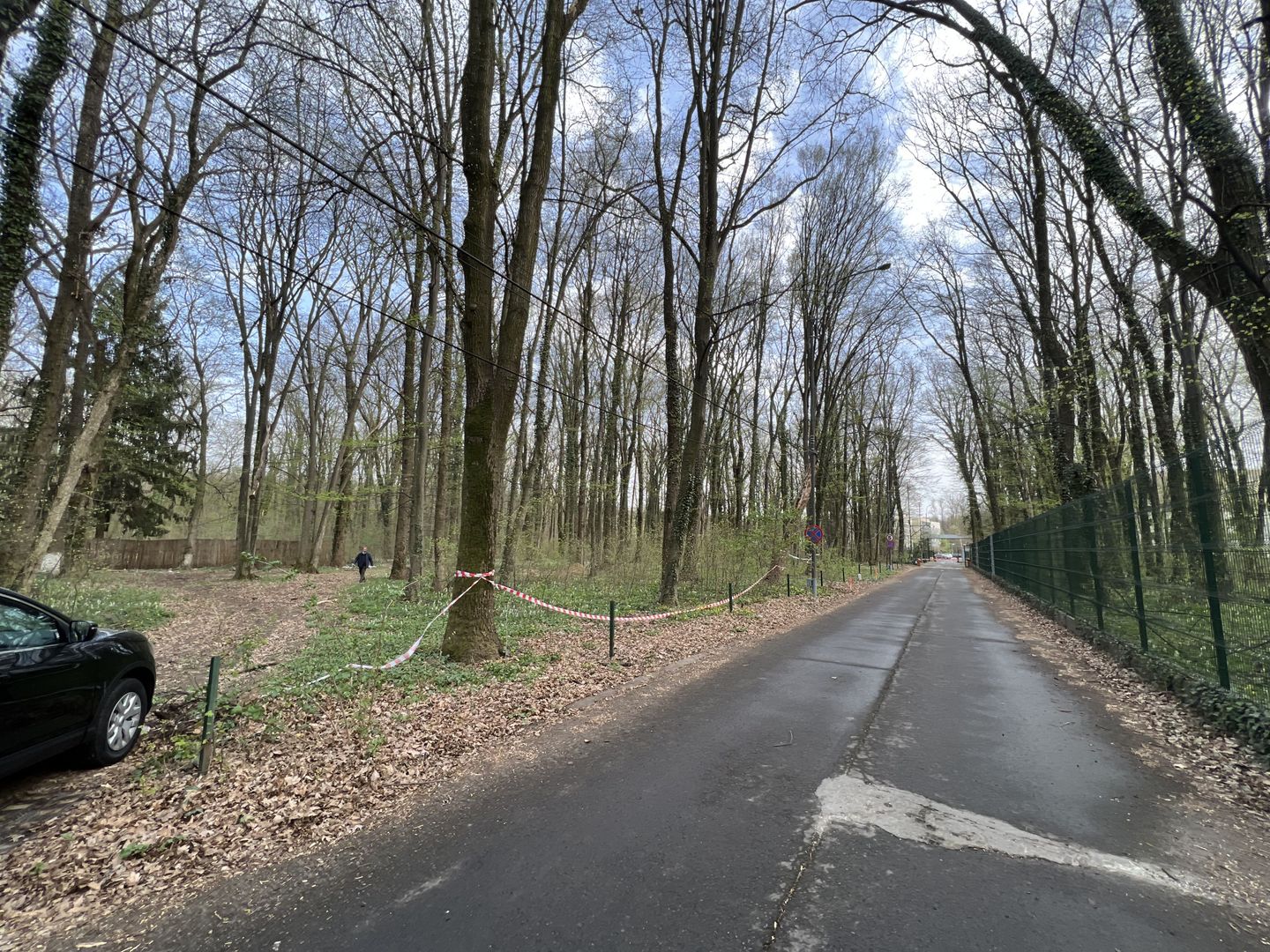 192842 mp teren in Padurea Baneasa proiect exclusivist - Poză 2