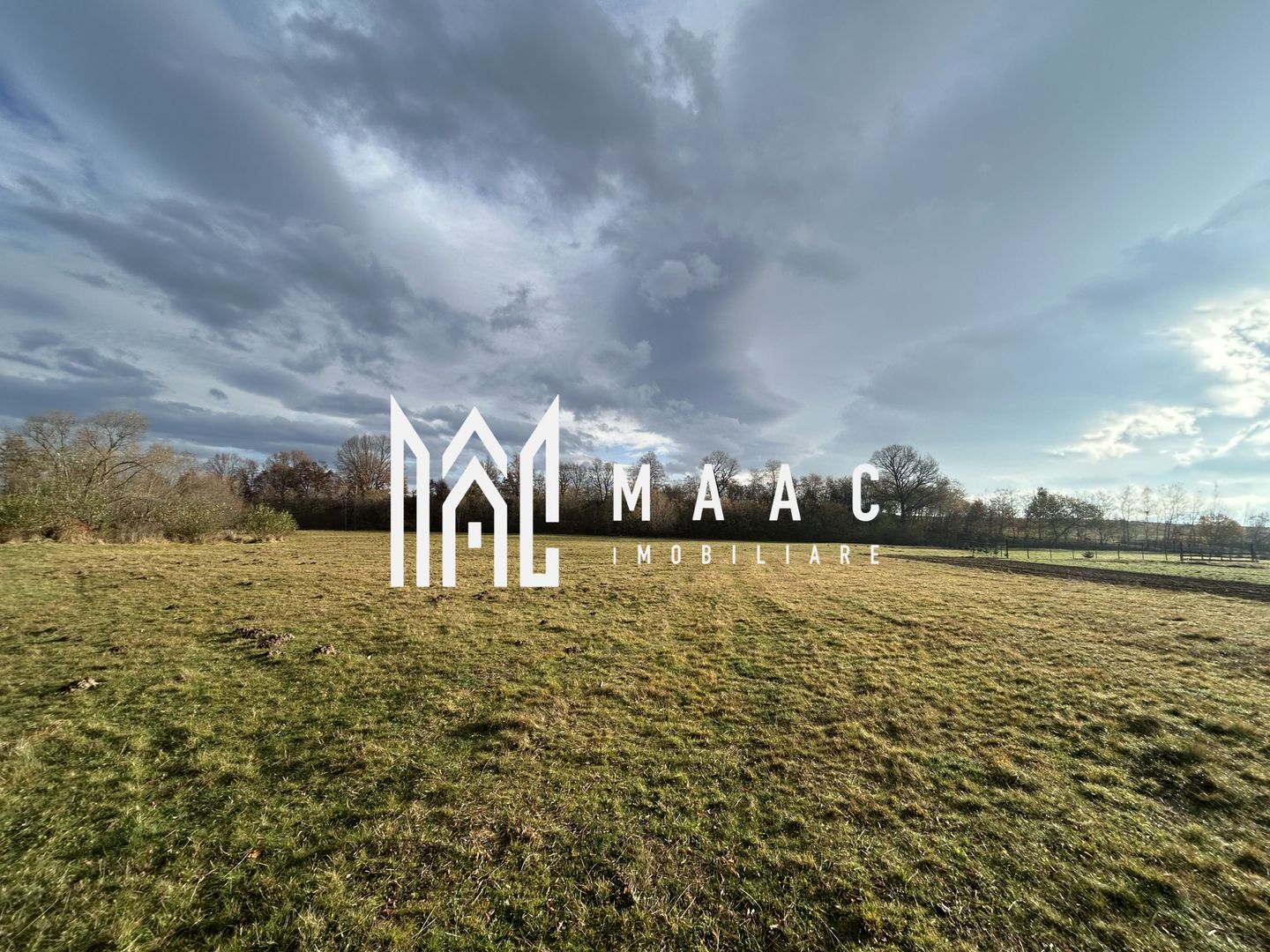 Teren cu potențial turistic I Cârțișoara I 1800 MP - Poză 1