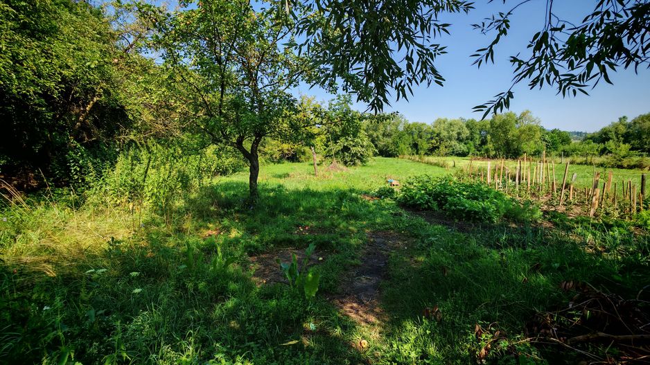 CASA SASEASCA comuna VULCAN,zona foarte buna,teren 3000 mp - Poză 23